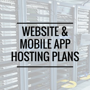 Wordpress Website Hosting Package